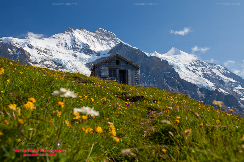 Eiger Walk