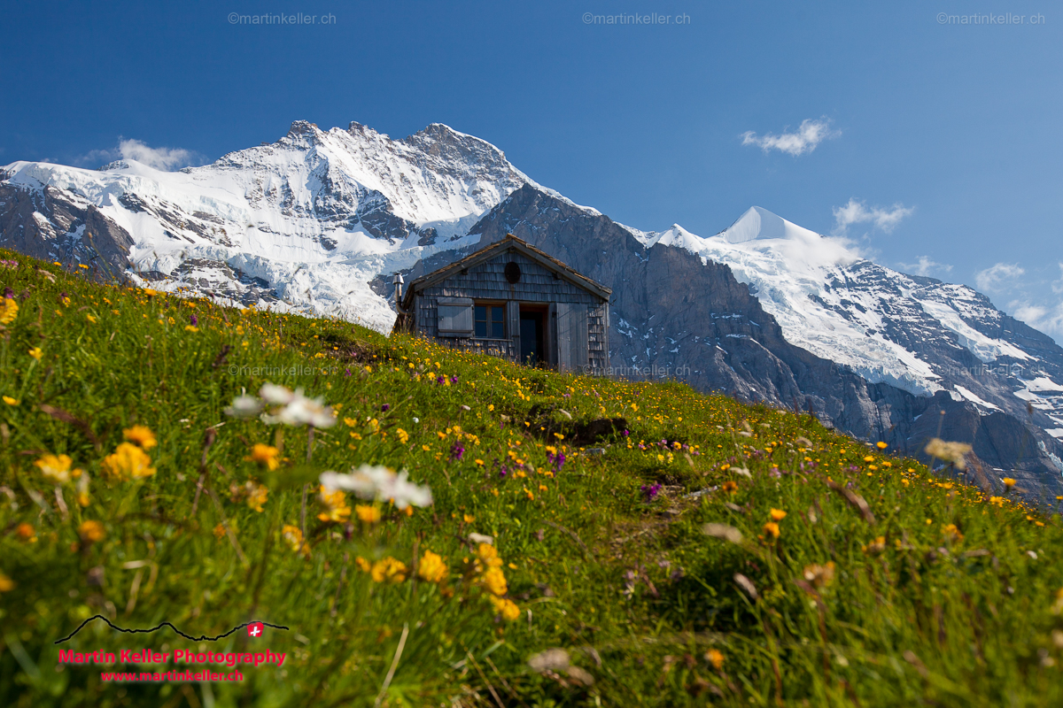 Eiger Walk