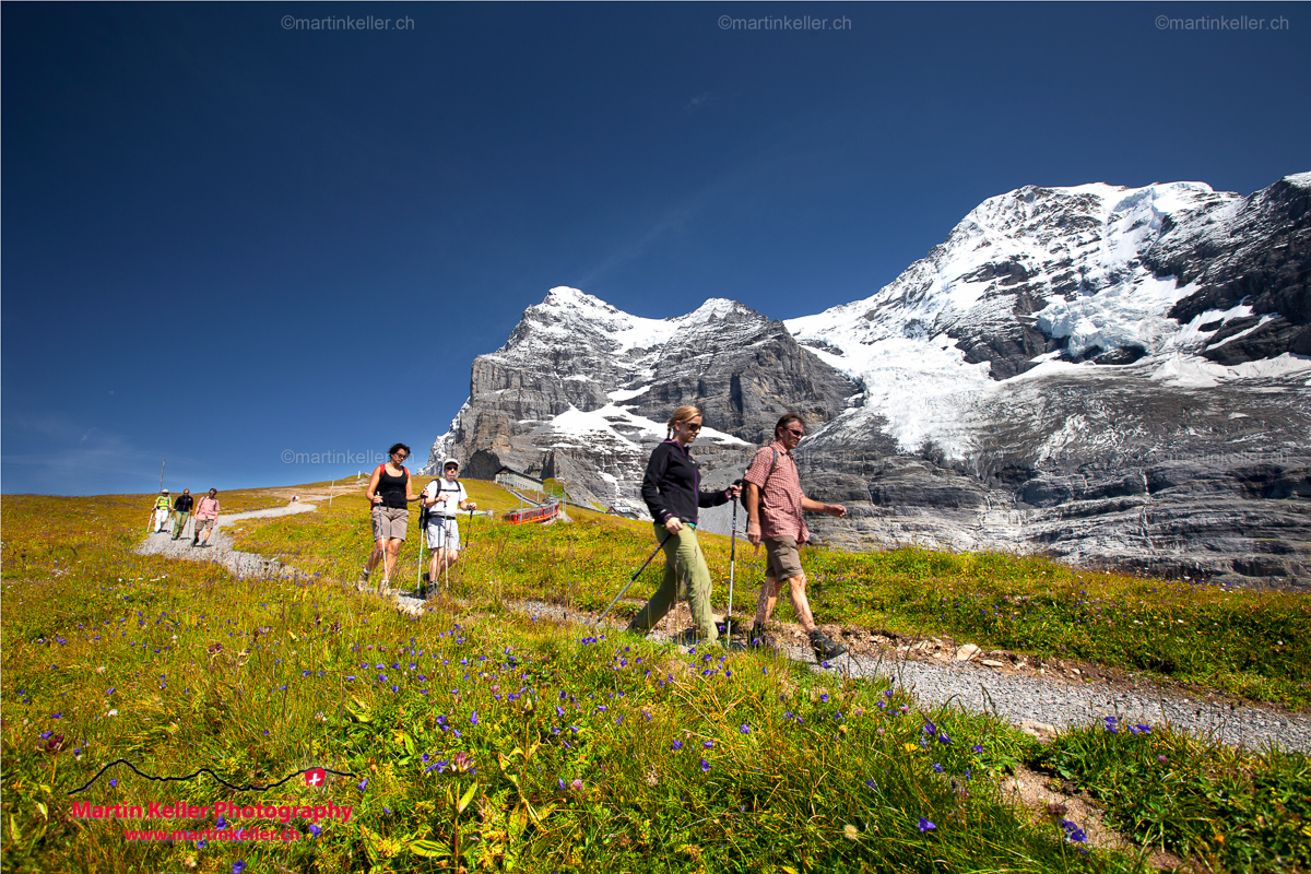 Eiger Walk