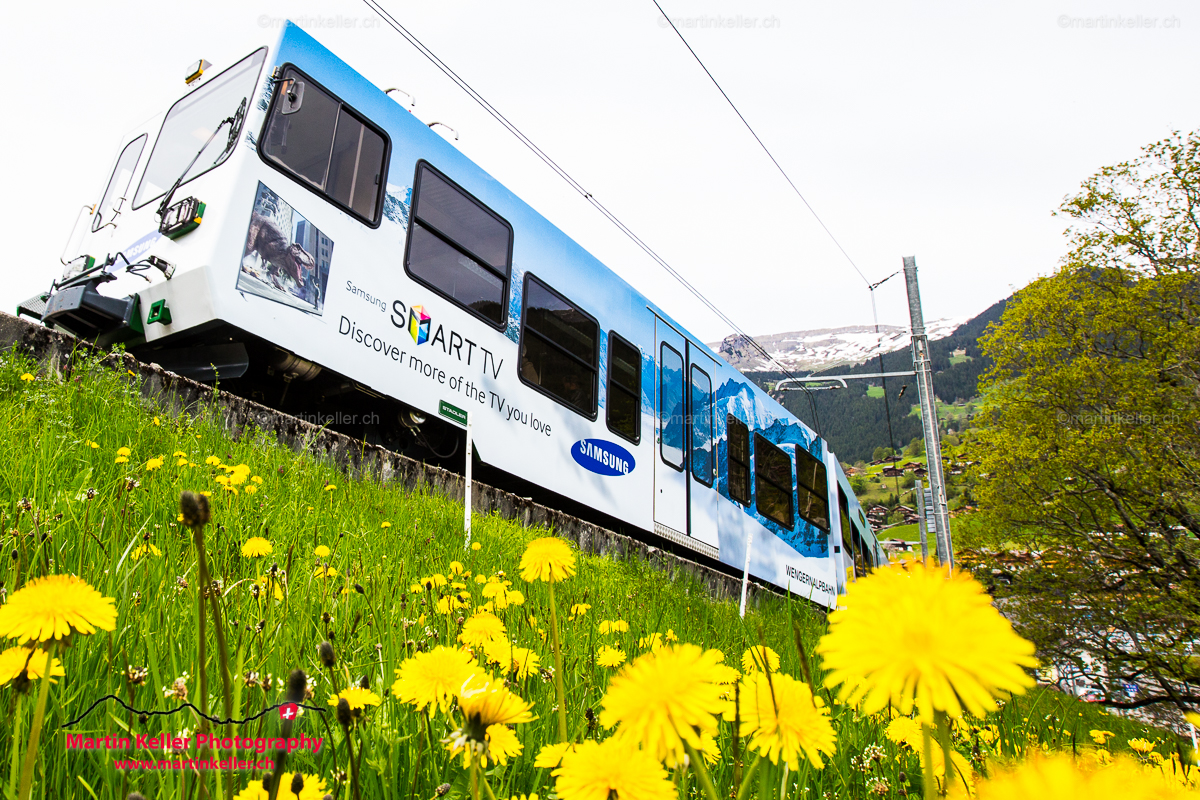 Jungfraubahnen (WAB)